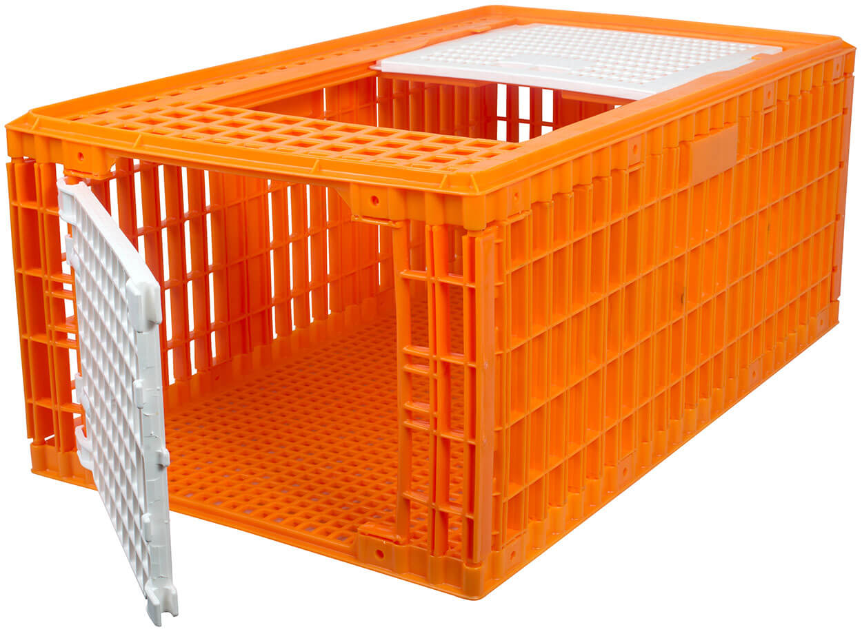 Carrier Boxes for Poultry, with Mesh Bottom - 29-42cm high